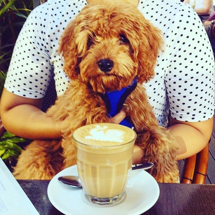 Cafe Central Darwin photo 3