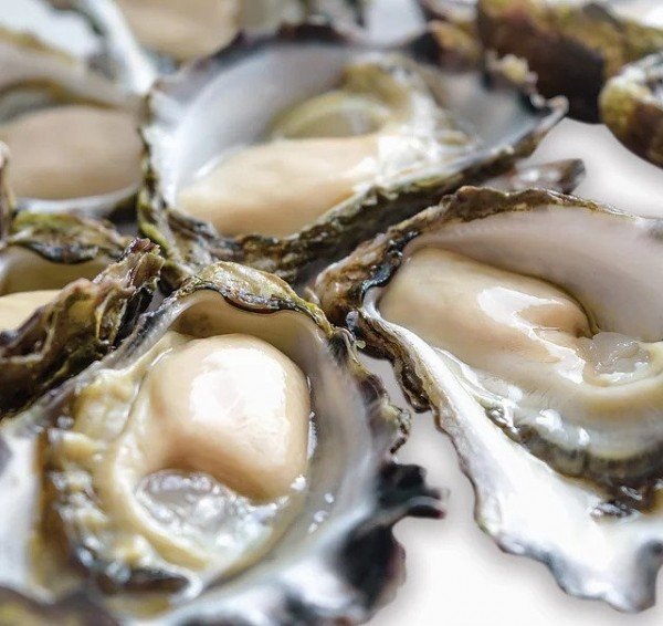 La Provence de Mer photo 3