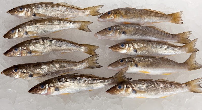 La Provence de Mer photo 10