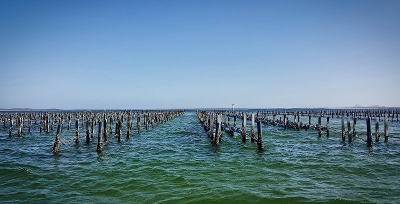 La Provence de Mer photo 5
