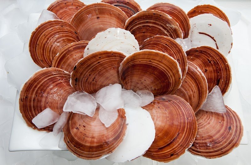 La Provence de Mer photo 9