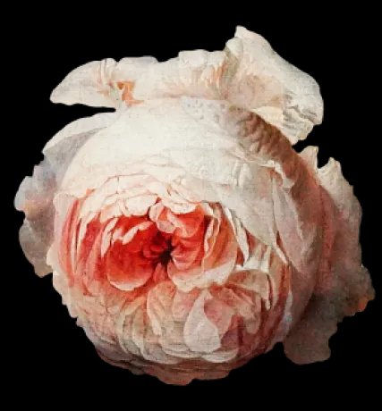 Frida's Sip n' Paint Fremantle photo 6