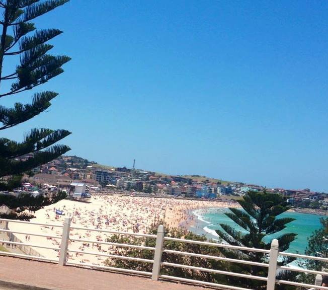 Bondi Road Seafoods photo 4