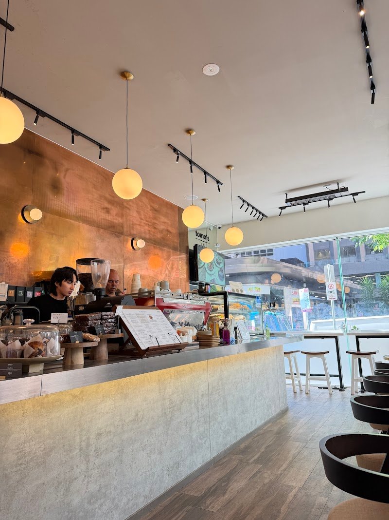 Tomo’s Little Collins photo 5