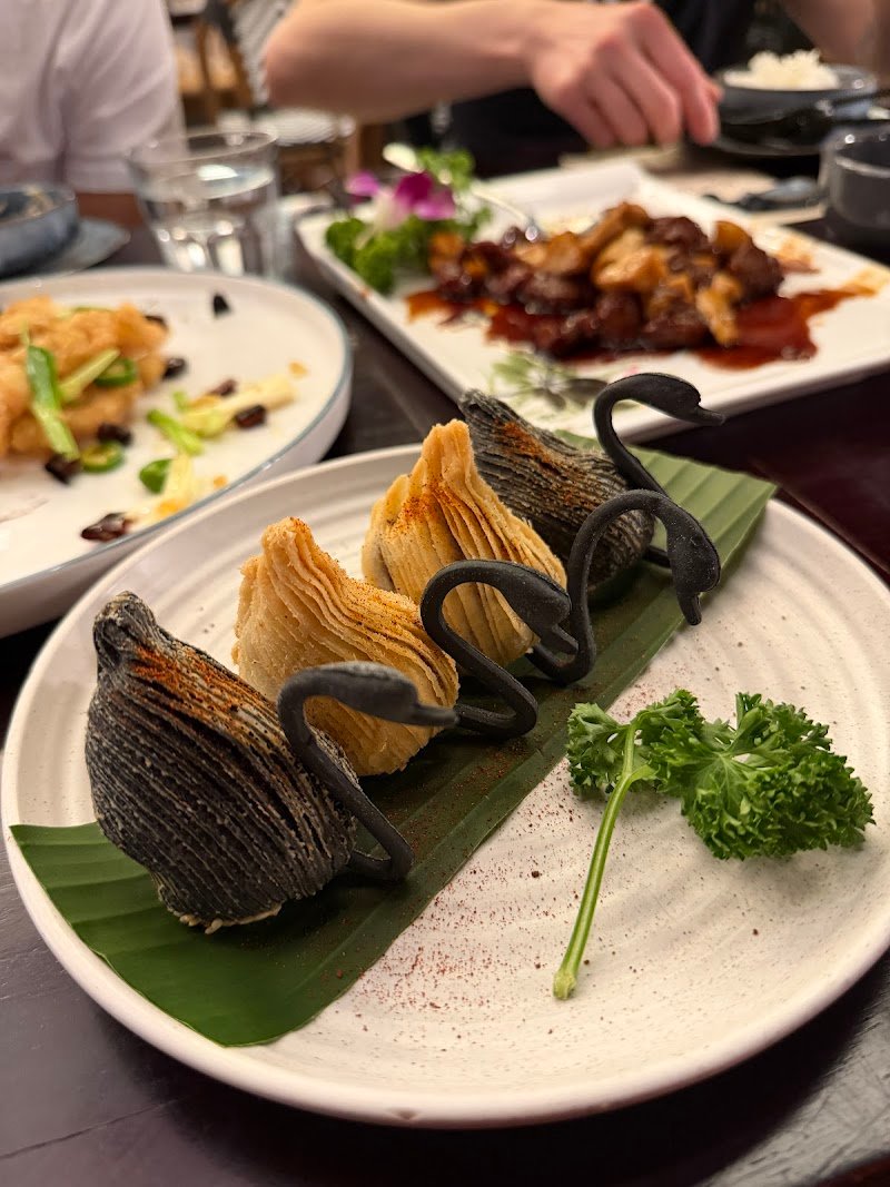 Hao Chi Newcastle photo 7