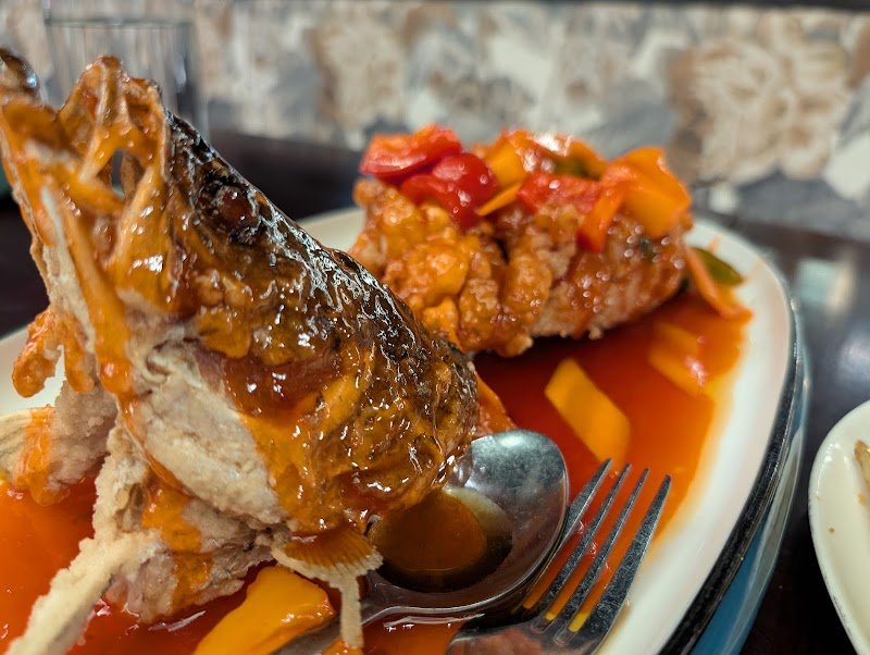 Hao Chi Newcastle photo 3