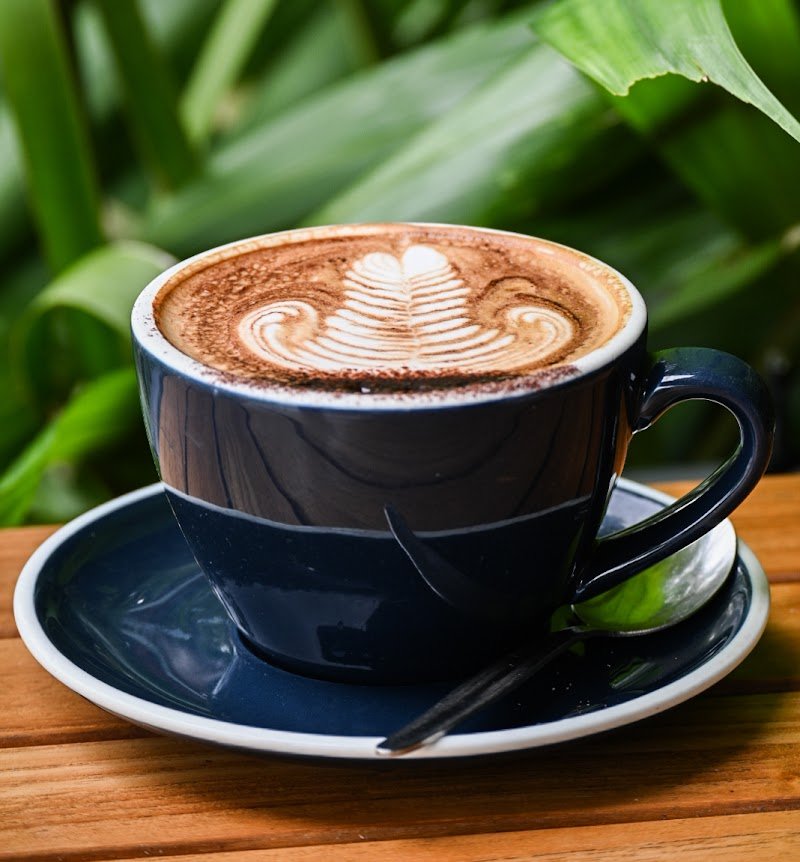 Saltwater @ Bundilla photo 4