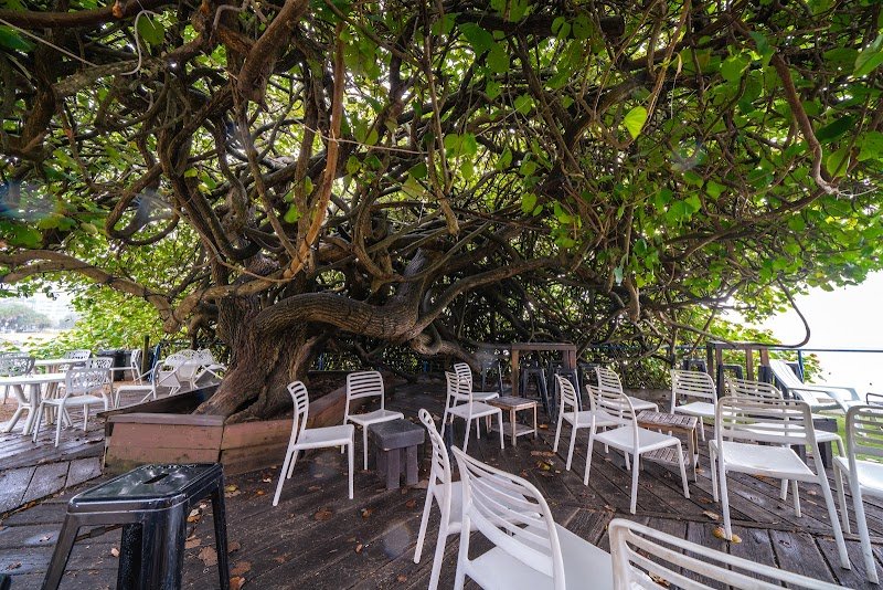 The Boat Shed & The Boat Shed Takeaway photo 9