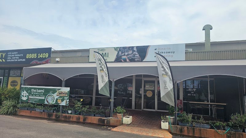 THE BAMI WINNELLIE photo 3