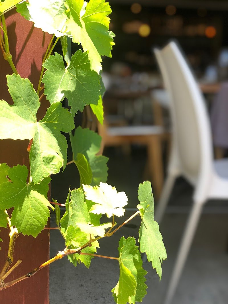 The Wine Barrel photo 4