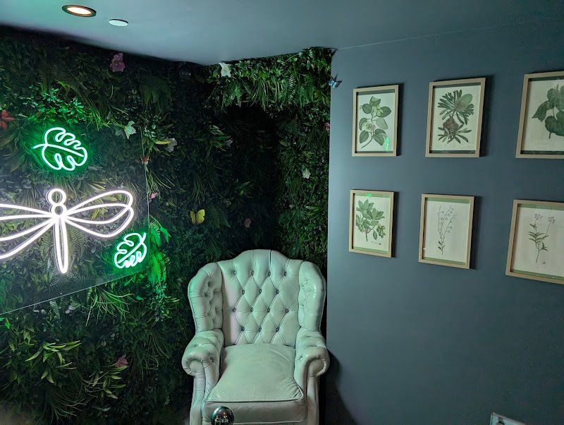 Terrarium Perth photo 7