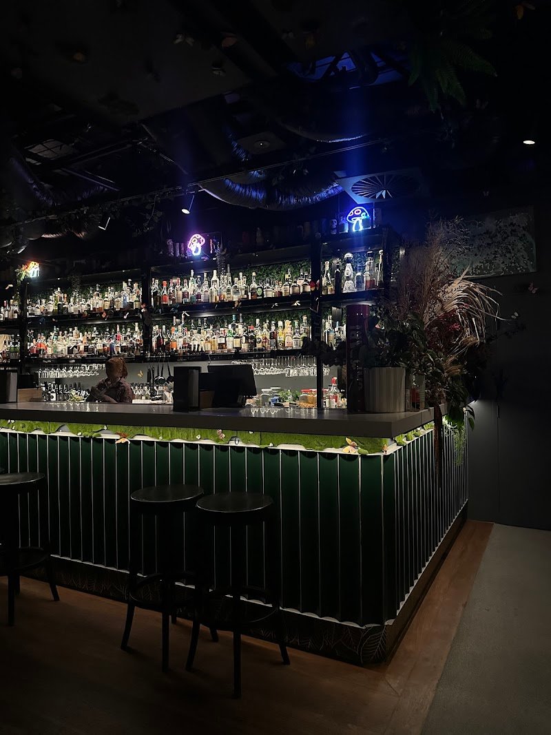 Terrarium Perth photo 4