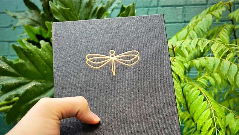 Terrarium Perth photo 3