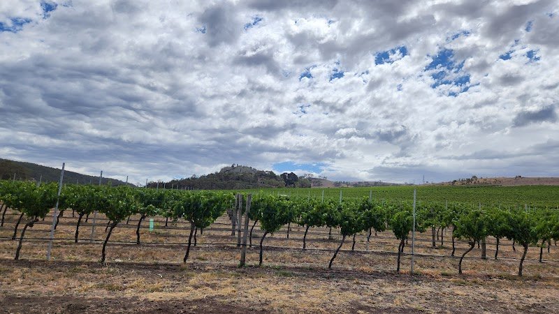 del Rios Winery and Restaurant photo 4