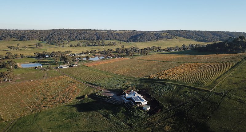 del Rios Winery and Restaurant photo 3