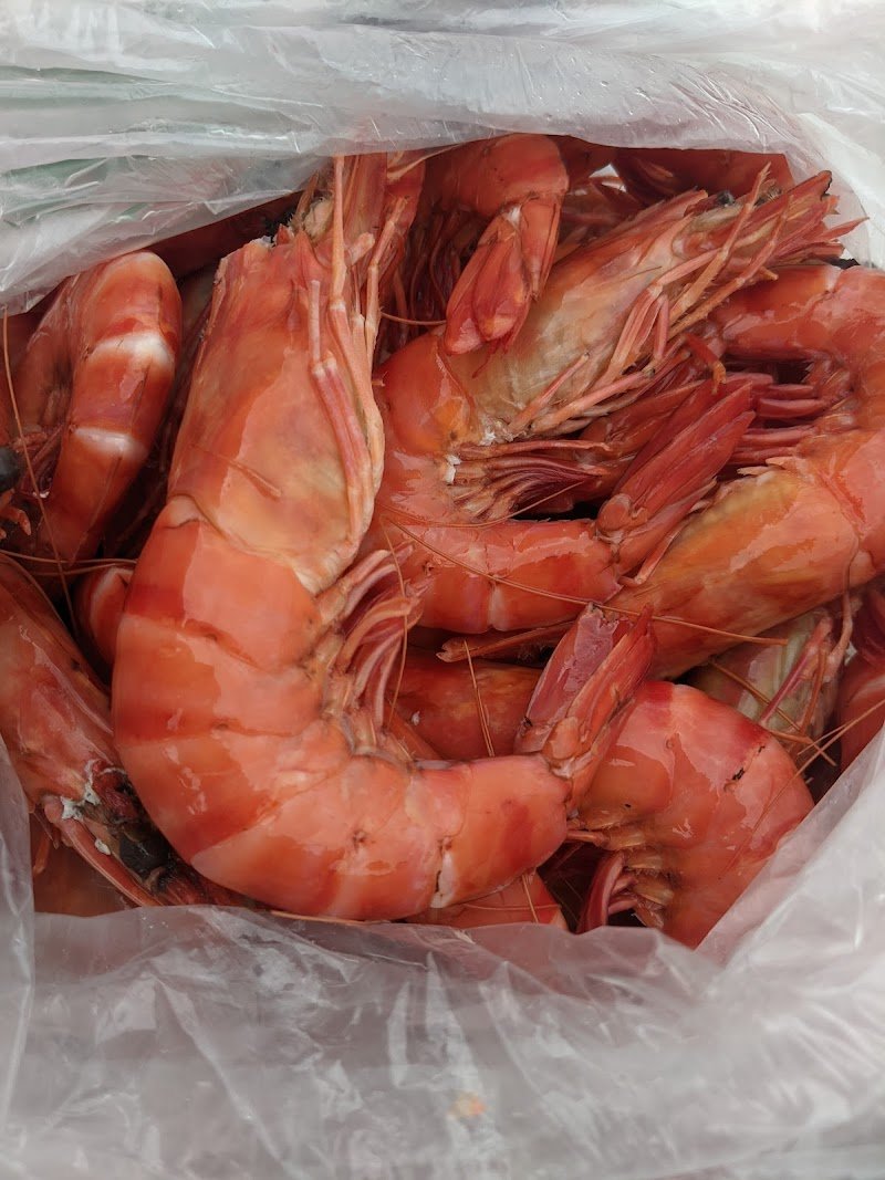 The Oyster Haven photo 6