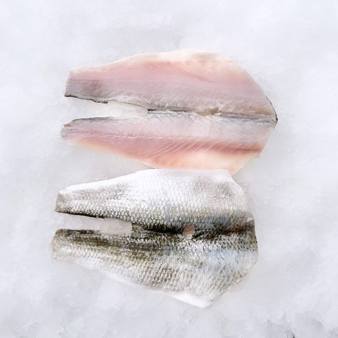 PARISSOS SEAFOODS photo 4