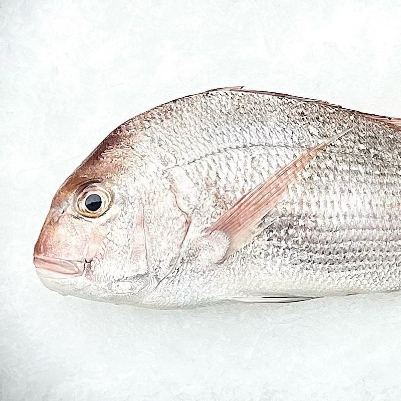 PARISSOS SEAFOODS photo 5