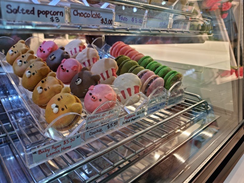 Fatcaron Macarons - Sydney Wholesale Basque Cheesecakes and Desserts