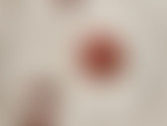 L'รฉpi Artisan Bakery - Chisholm photo 6