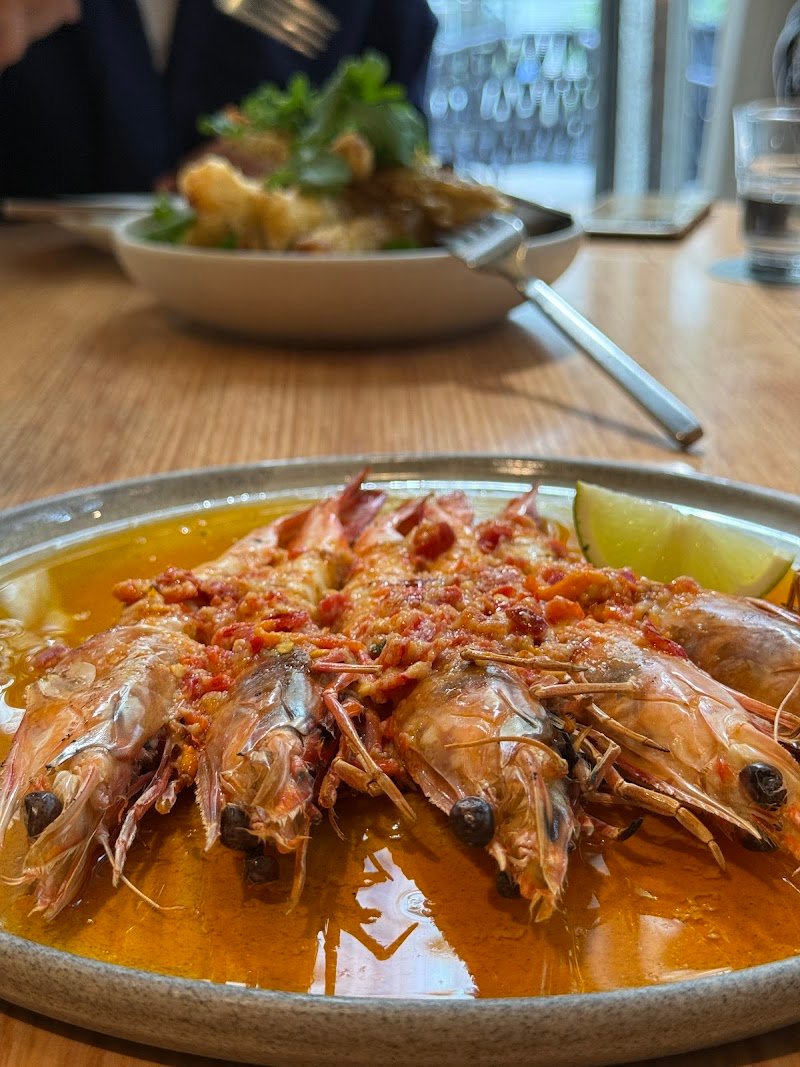 RAFI North Sydney photo 10